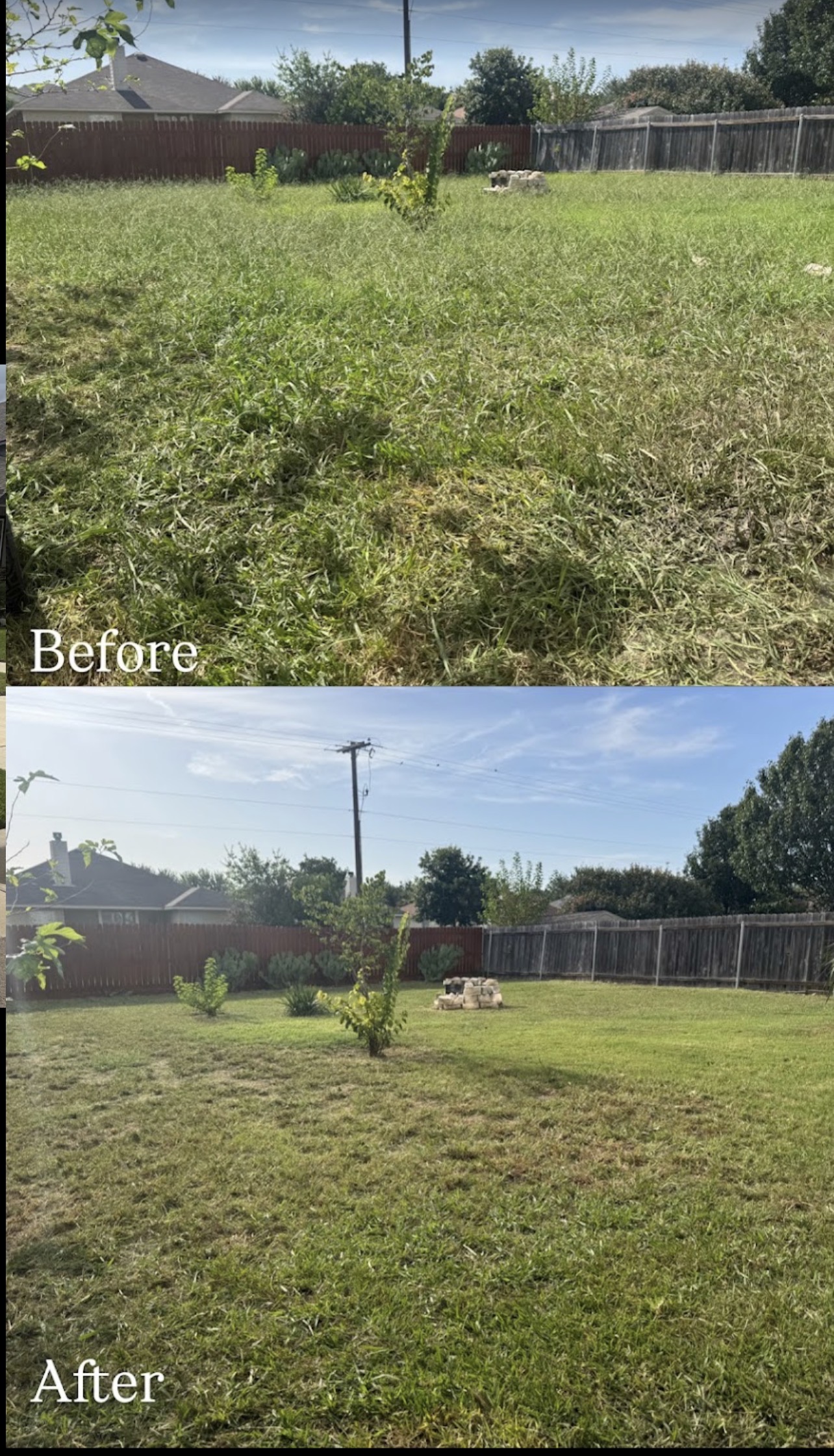 Backyard before and after mowing