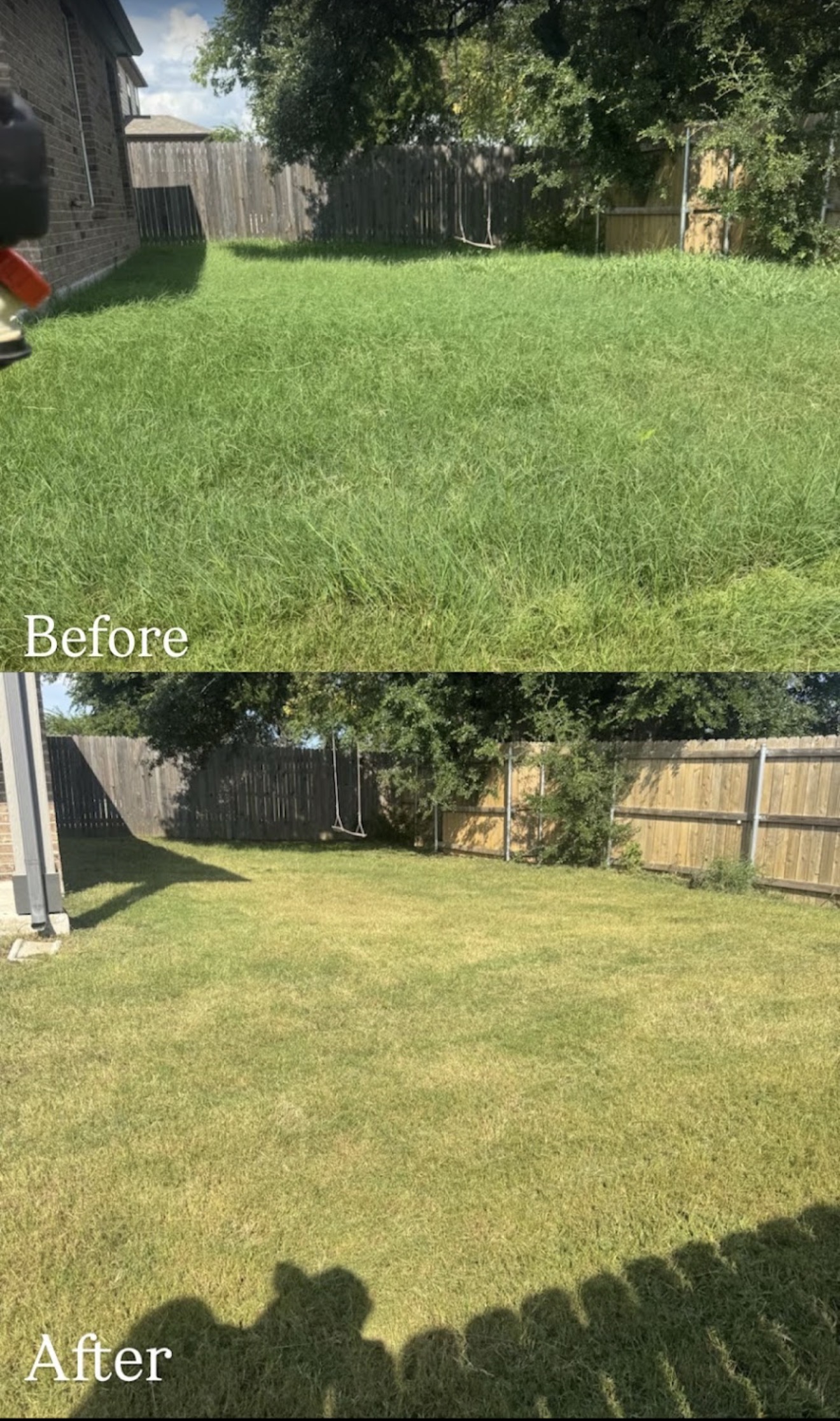 Overgrown lawn before and after