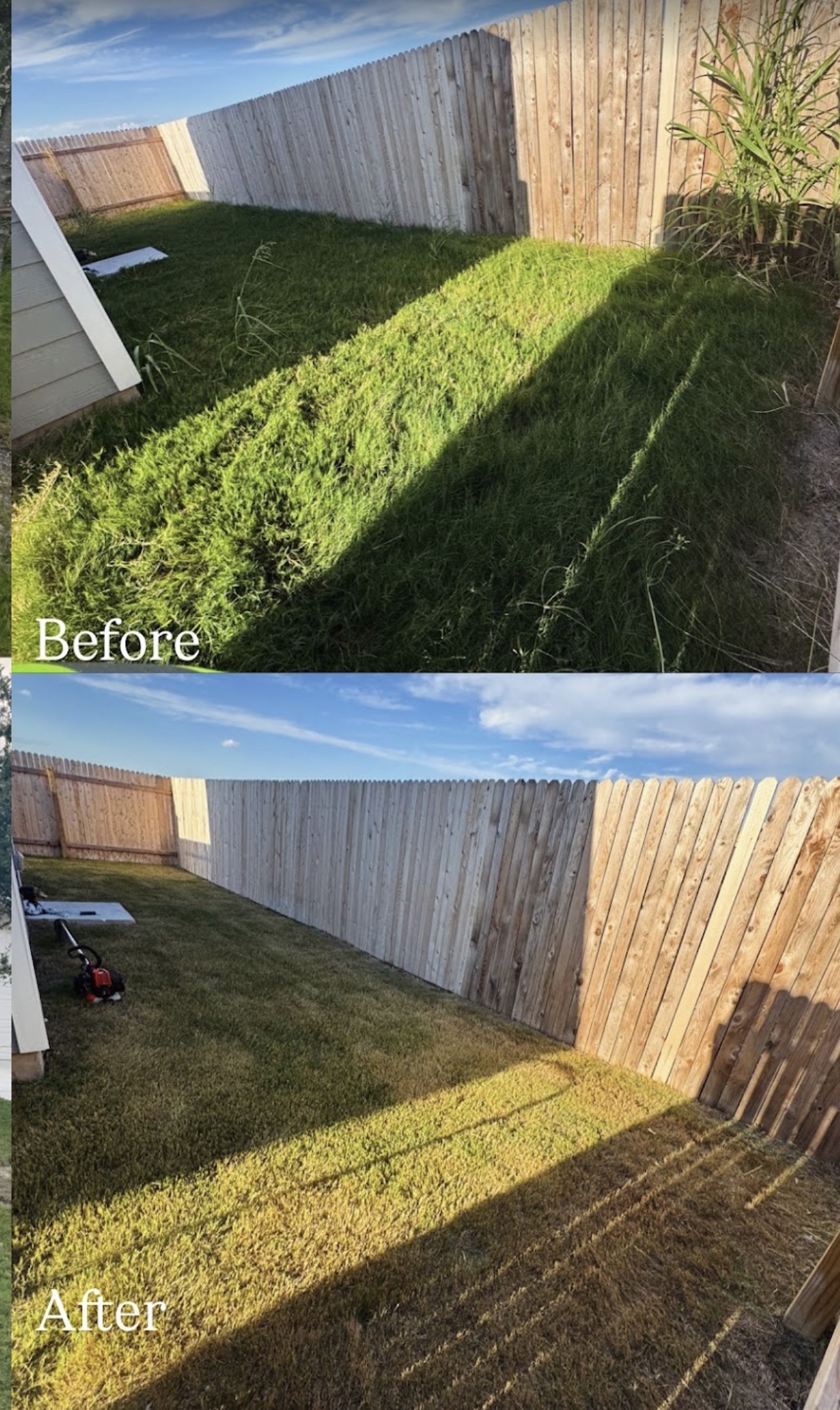 Side yard before and after cleanup