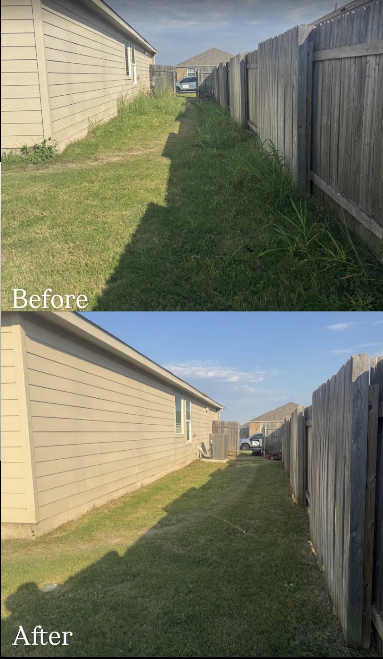 Overgrown yard before and after mowing