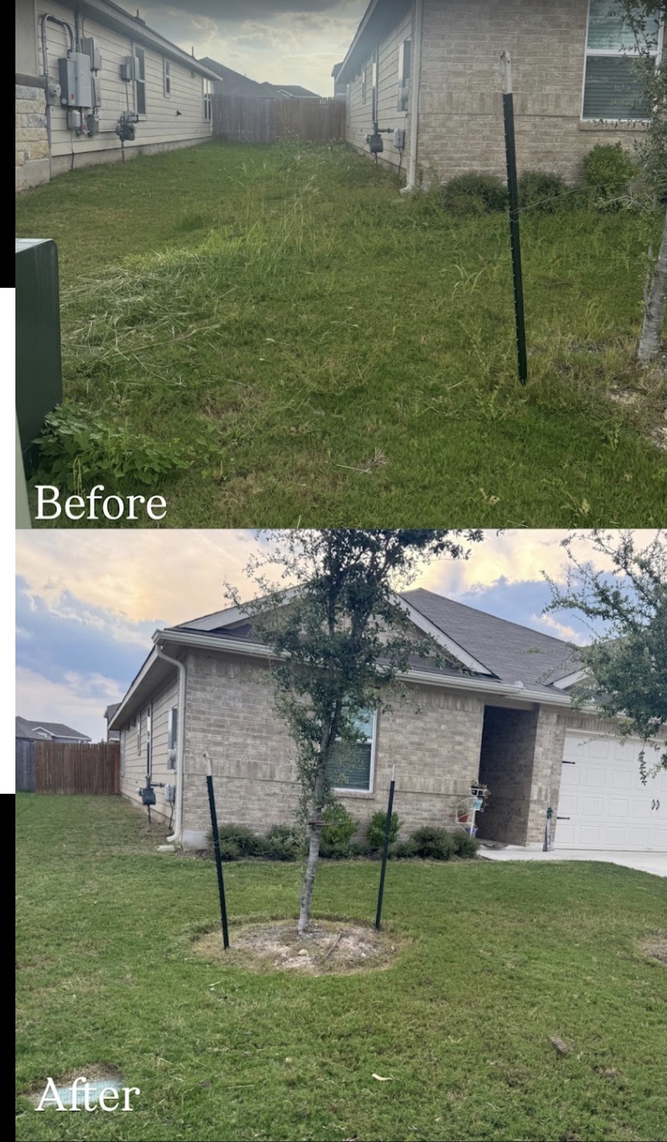 Lawn cleanup before and after